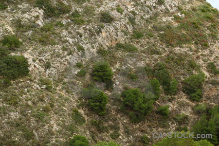 Rock texture green.