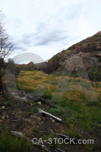 Rock tree cloud chile grass.