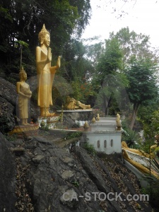 Rock tree southeast asia wat prabang phoutthalawanh buddhism.