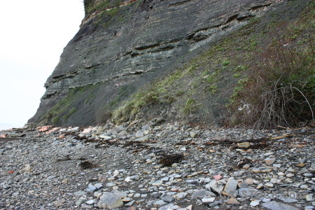 Rock white cliff.