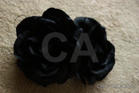 Rose silk plant flower black.