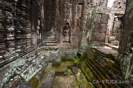 Ruin carving asia building plant.