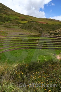 Ruin terrace peru moray bush.