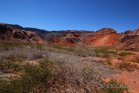 Salta tour 2 quebrada de cafayate bush south america argentina.