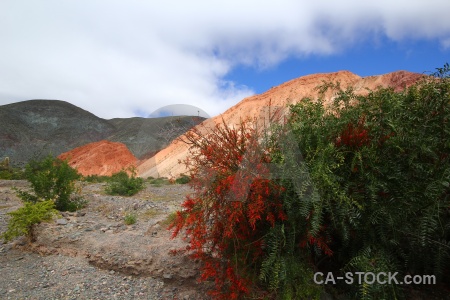 Salta tour bush cerro de los siete colores landscape mountain.