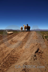 Salta tour sky mountain south america landscape.