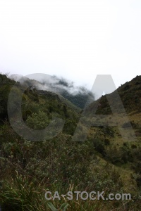 Sayaqmarka sky tree inca peru.