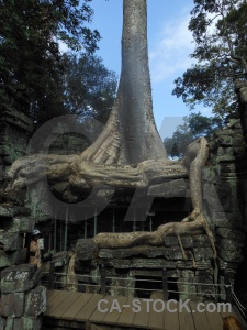 Scaffolding tomb raider siem reap unesco root.