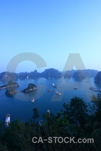 Sea boat ha long bay vietnam tree.