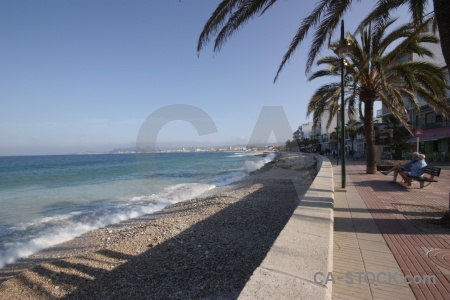 Sea europe spain seat palm tree.