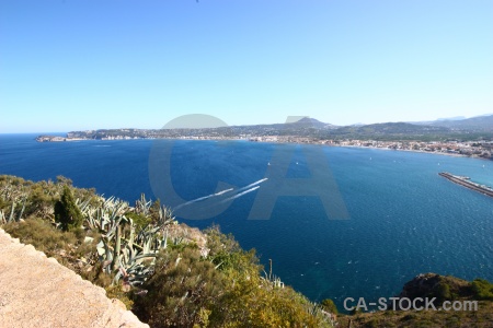 Sea javea spain water plant.