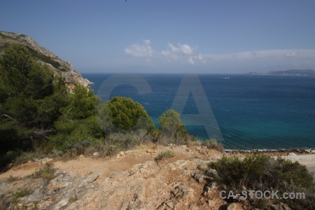 Sea tree javea sky water.