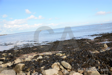 Seaweed rock landscape coast.