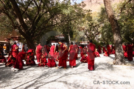 Sera monastery asia tibet buddhism monk.