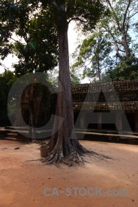 Siem reap angkor ruin buddhism column.