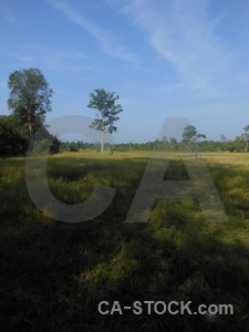 Siem reap sky cloud prasat banteay srei field.