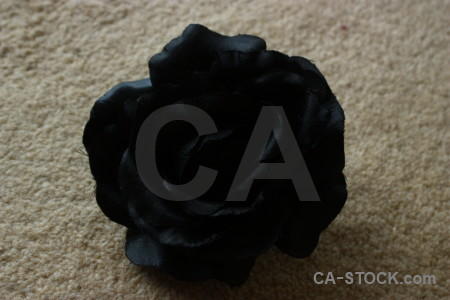 Silk rose plant flower.