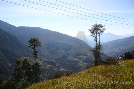 Sky asia annapurna sanctuary trek south tree.