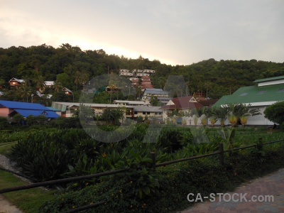 Sky ko phi don building tree thailand.