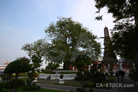 Sky person building temple tree.