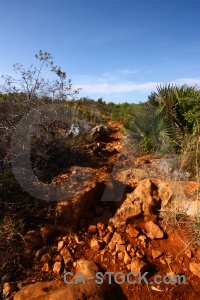 Sky rock plant nature javea.