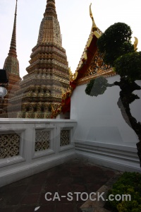 Sky southeast asia buddhism tree gold.