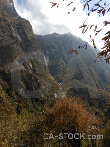 Sky tree modi khola valley himalayan annapurna sanctuary trek.