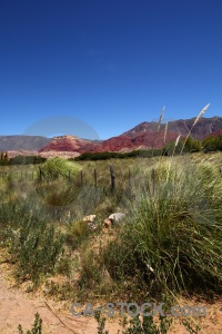 Sky yacoraite south america grass jujuy.