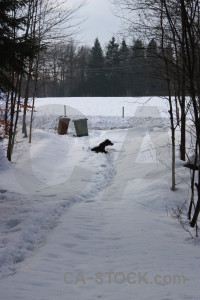 Snow gray winter.