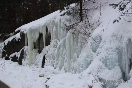 Snow gray winter icicle.