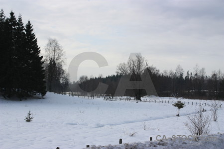 Snow landscape winter white.