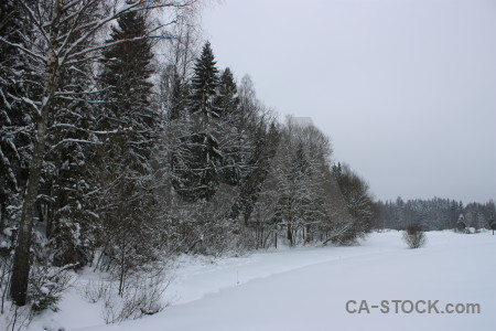 Snow white winter landscape.