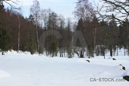 Snow white winter landscape.