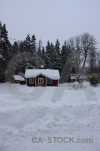 Snow winter landscape.