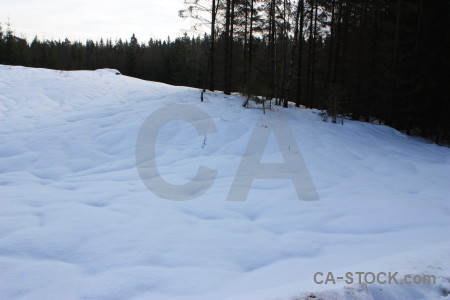 Snow winter landscape.