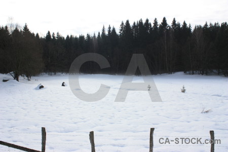 Snow winter white landscape.