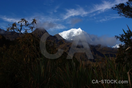 Snowcap inca trail south america tree peru.
