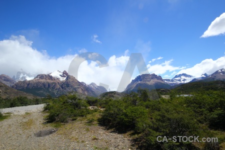 Snowcap sky stone tree patagonia.