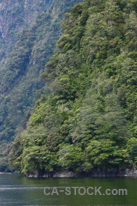 Sound new zealand doubtful fiordland mountain.