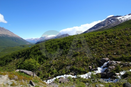 South america andes tree river landscape.