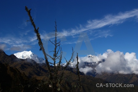 South america cloud landscape altitude tree.
