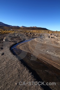 South america el tatio bush grass atacama desert.