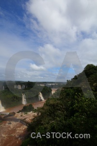 South america iguazu river tree unesco brazil.