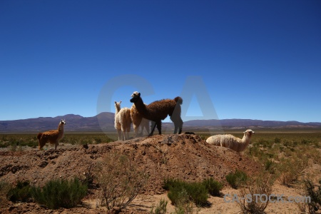 South america landscape andes mountain salta tour.