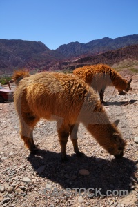 South america mountain quebrada de cafayate stone salta tour 2.