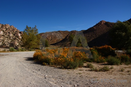 South america sky salta tour tree bush.