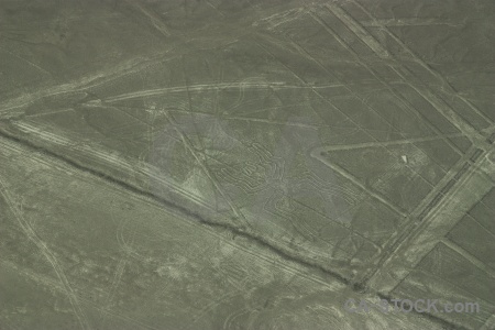 South america spider unesco animal nazca lines.