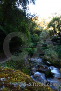 South asia himalayan annapurna sanctuary trek water rock.