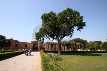 South asia new delhi monument grass qutab minar.