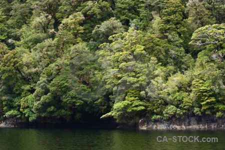 South island doubtful sound new zealand fiordland rock.